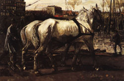 Two White Horses Pulling Posts in Amsterdam